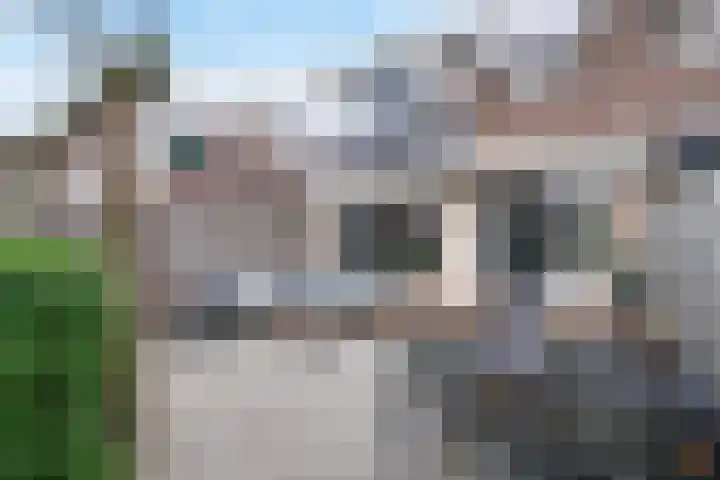 Romp 11 Middelburg thumbnail 29