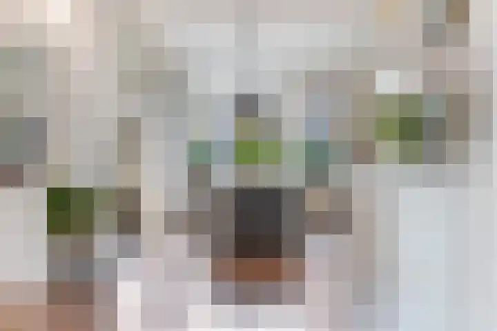 Romp 11 Middelburg thumbnail 6