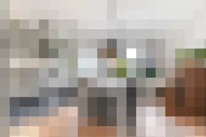 Romp 11 Middelburg thumbnail 8