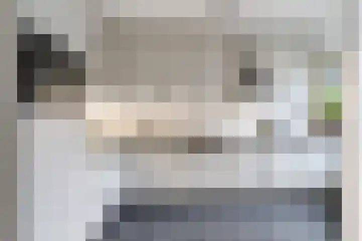 Romp 11 Middelburg thumbnail 9