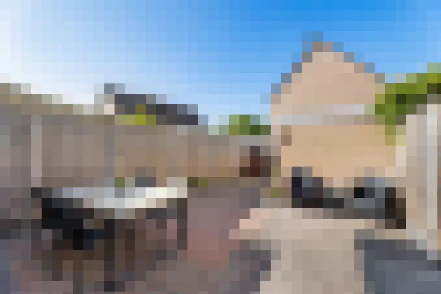 Romp 13 Middelburg thumbnail 5