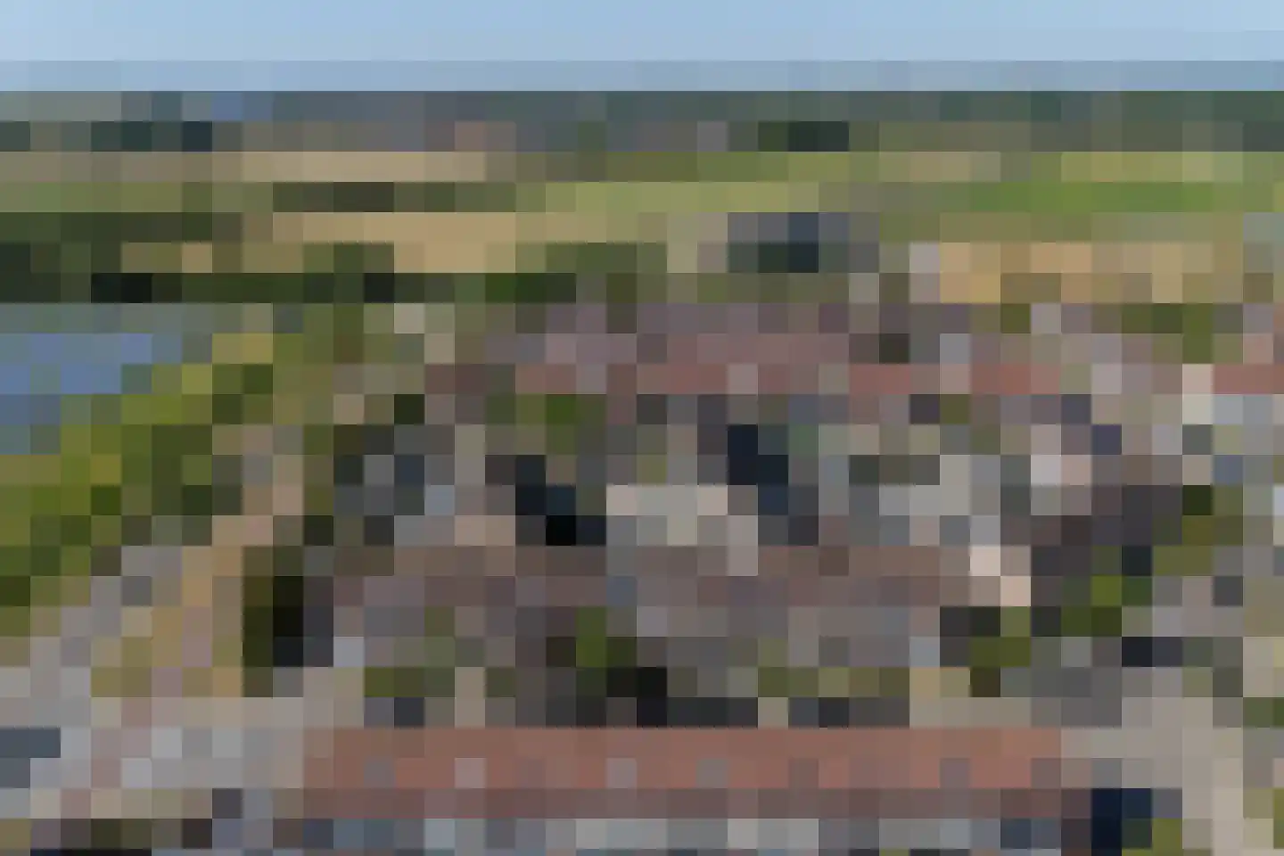 Romp 13 Middelburg thumbnail 8