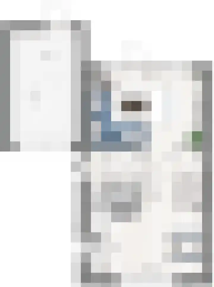 Rompelenbos 15 Meteren thumbnail 5