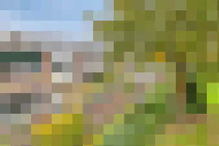 Rompert Park 100 's-Hertogenbosch thumbnail 36