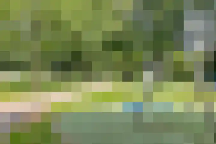 Rompert Park 32 's-Hertogenbosch thumbnail 31