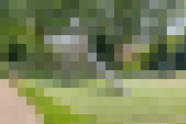 Rompert Park 32 's-Hertogenbosch thumbnail 32