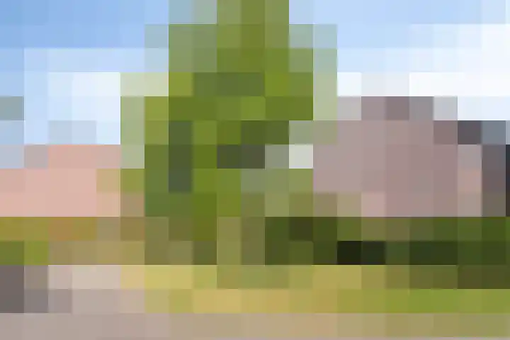 Rompert Park 73 's-Hertogenbosch thumbnail 44