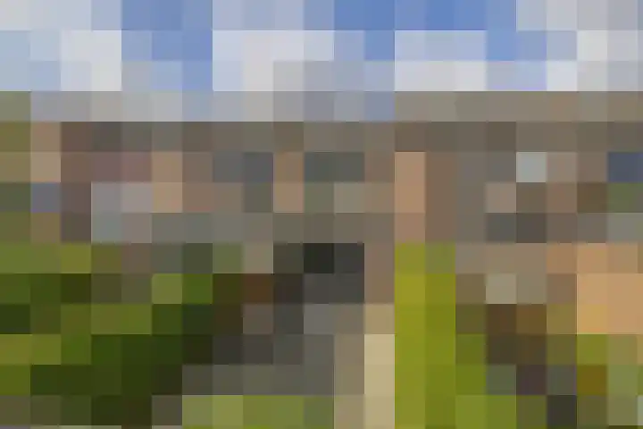 Rompert Park 82 's-Hertogenbosch thumbnail 37