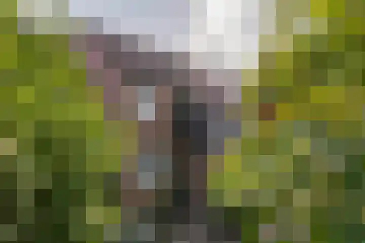 Rompert Park 82 's-Hertogenbosch thumbnail 40