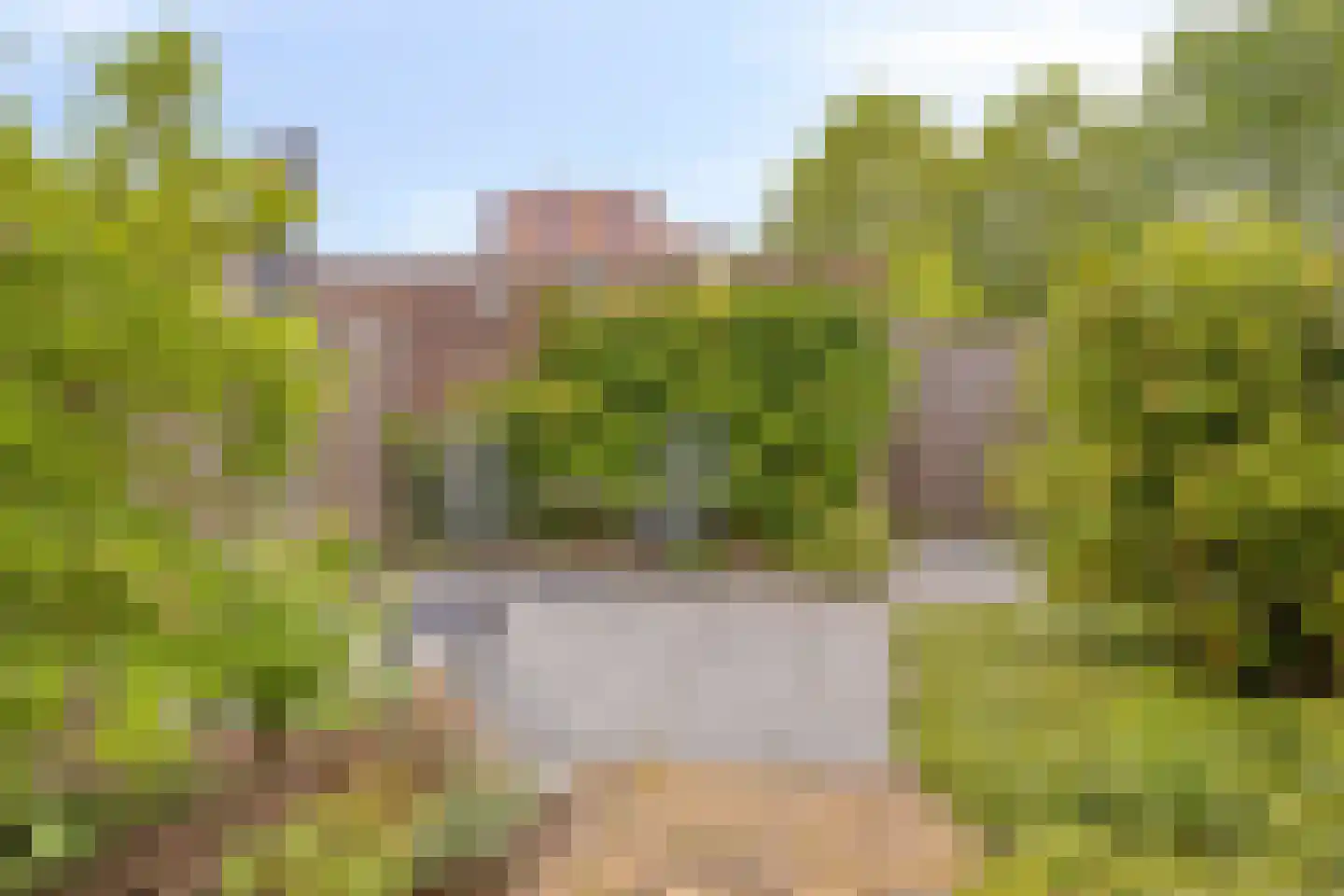 Rompert Park 92 's-Hertogenbosch thumbnail 26