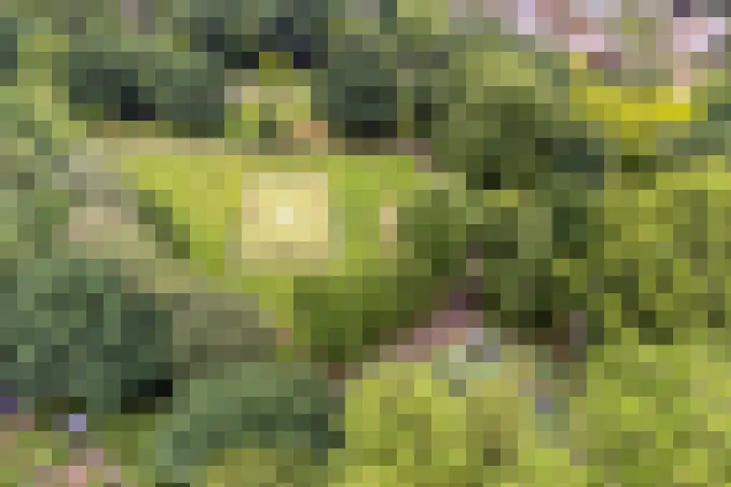 Rompert Park 92 's-Hertogenbosch thumbnail 33