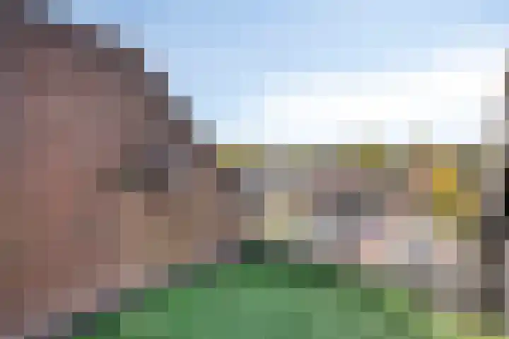 Rompert Park 99 's-Hertogenbosch thumbnail 18