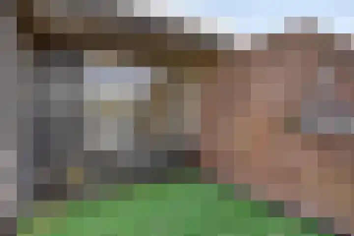 Rompert Park 99 's-Hertogenbosch thumbnail 19