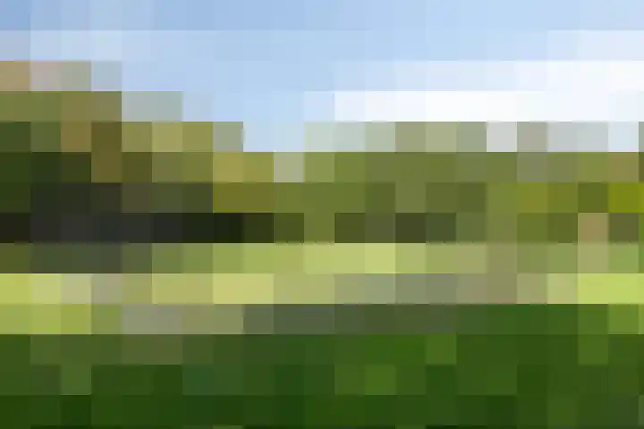 Rompert Park 99 's-Hertogenbosch thumbnail 30