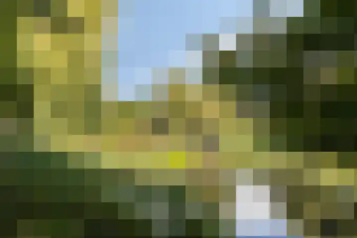 Rompert Park 99 's-Hertogenbosch thumbnail 33