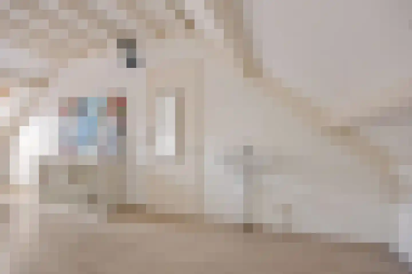 Rompertcentrum 34 's-Hertogenbosch thumbnail 35
