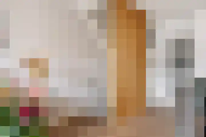 Rompertcentrum 53 's-Hertogenbosch thumbnail 17
