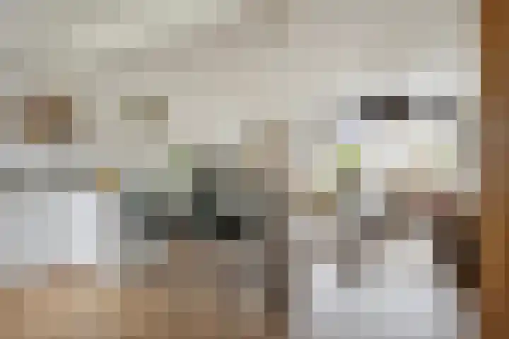 Rompertcentrum 53 's-Hertogenbosch thumbnail 22