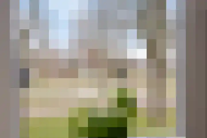 Rompertcentrum 53 's-Hertogenbosch thumbnail 26