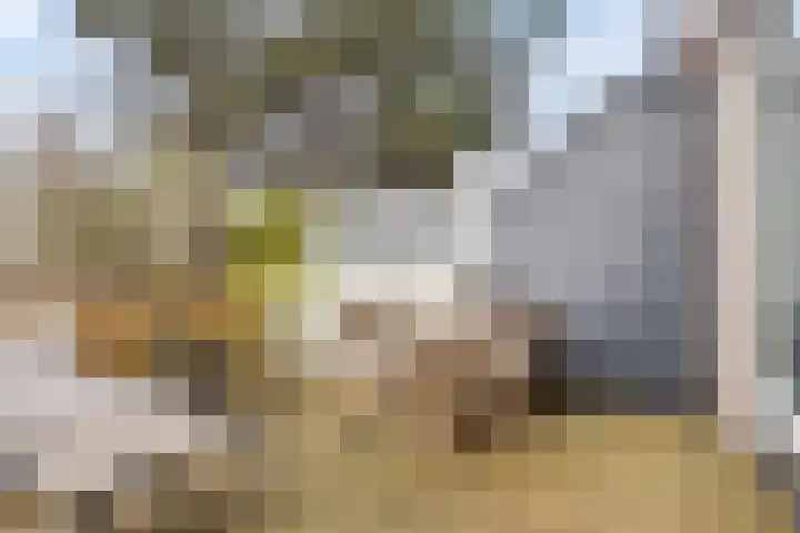 Rompertcentrum 53 's-Hertogenbosch thumbnail 28