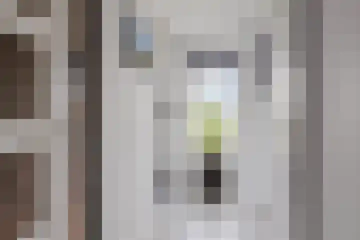 Rompertcentrum 53 's-Hertogenbosch thumbnail 40