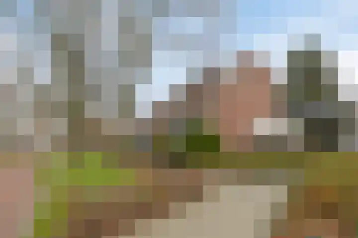 Rompertcentrum 53 's-Hertogenbosch thumbnail 6