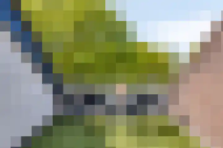 Rompertcentrum 57 's-Hertogenbosch thumbnail 16