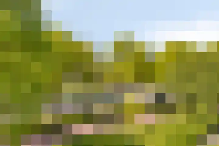Rompertcentrum 57 's-Hertogenbosch thumbnail 17