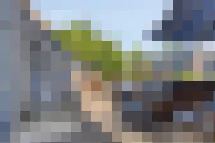 Rompertcentrum 57 's-Hertogenbosch thumbnail 24