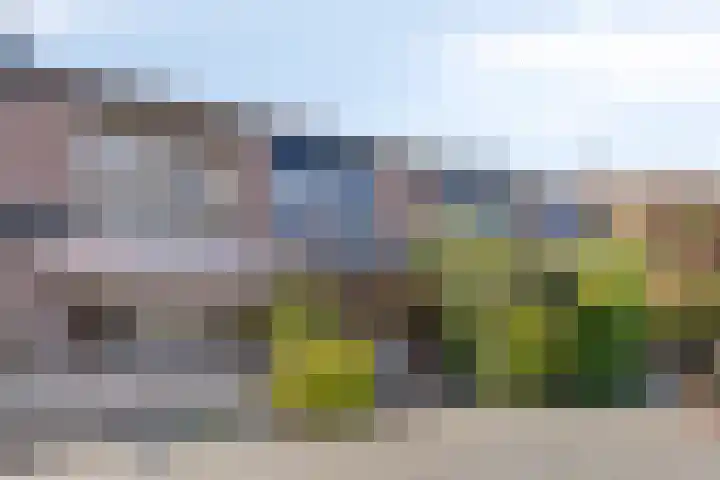 Rompertcentrum 57 's-Hertogenbosch thumbnail 25