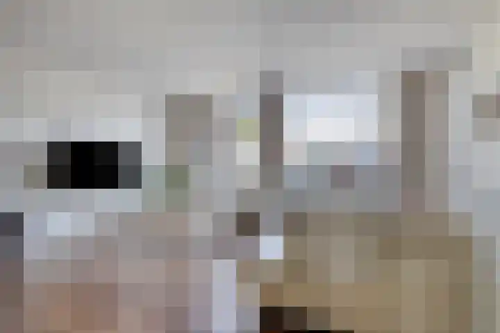 Rompertcentrum 57 's-Hertogenbosch thumbnail 6