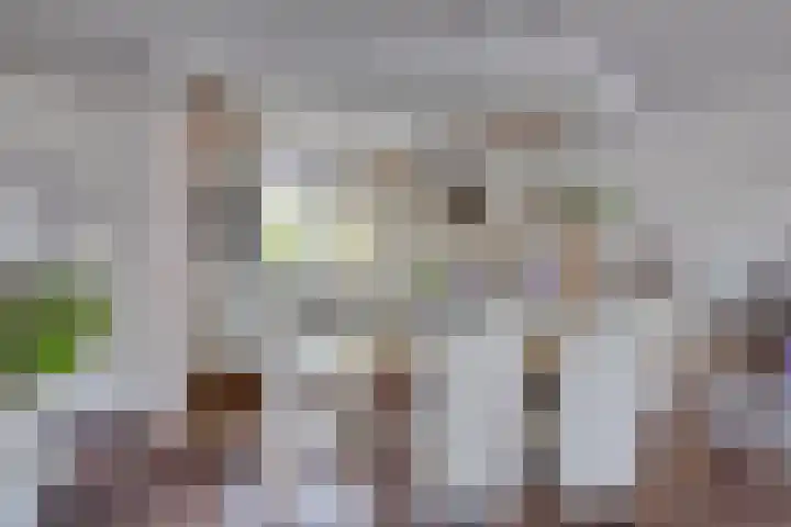 Rompertcentrum 57 's-Hertogenbosch thumbnail 8