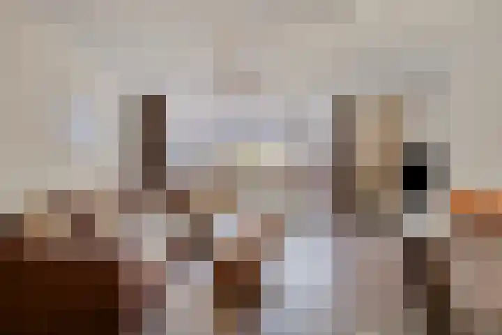 Rompertcentrum 89 's-Hertogenbosch thumbnail 15