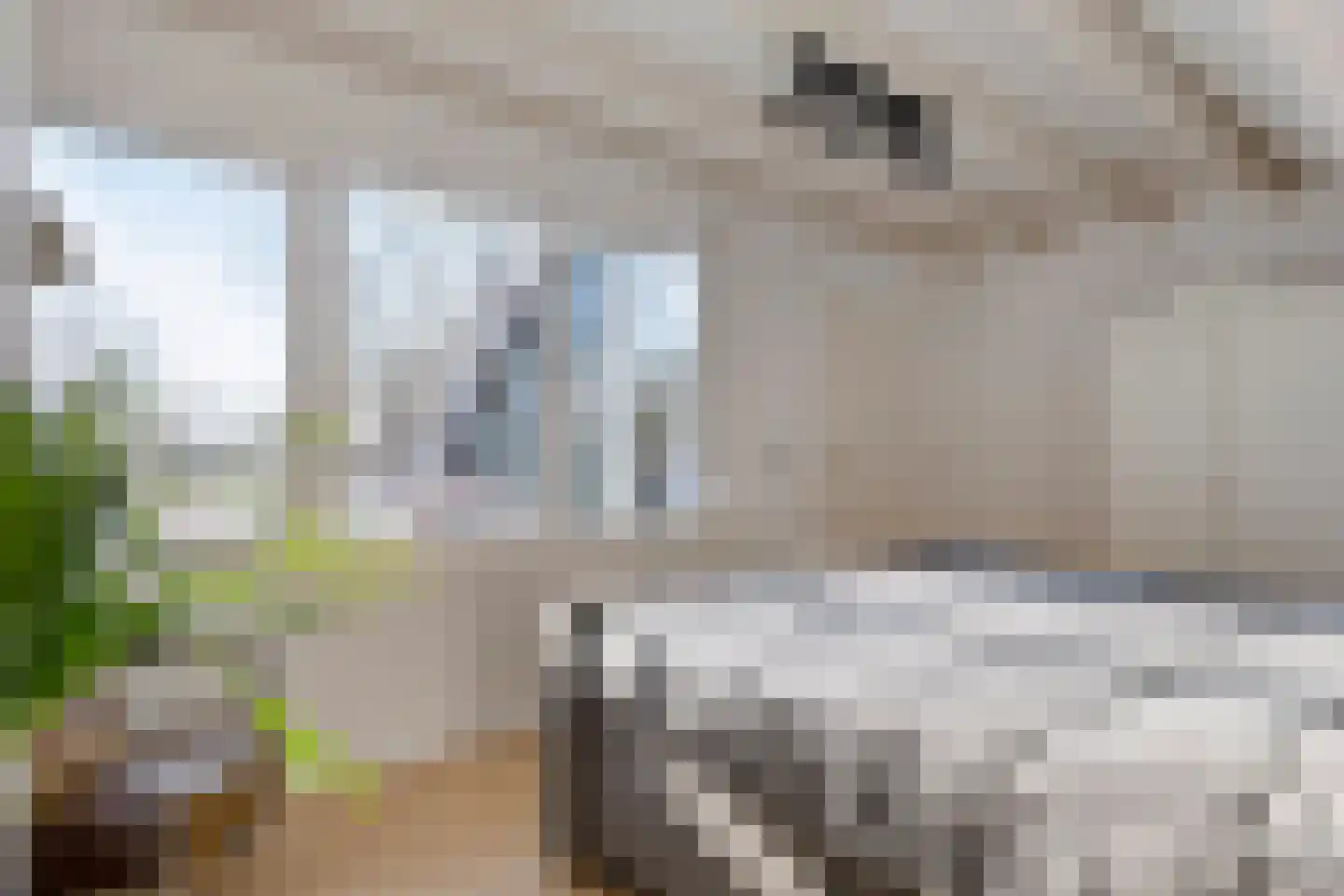 Rompertcentrum 89 's-Hertogenbosch thumbnail 37