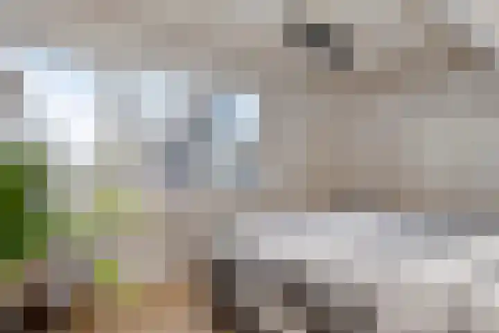 Rompertcentrum 89 's-Hertogenbosch thumbnail 37