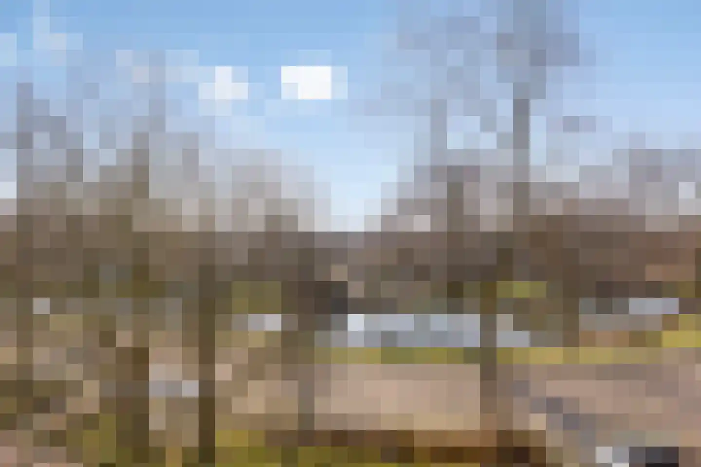 Rompertcentrum 89 's-Hertogenbosch thumbnail 40