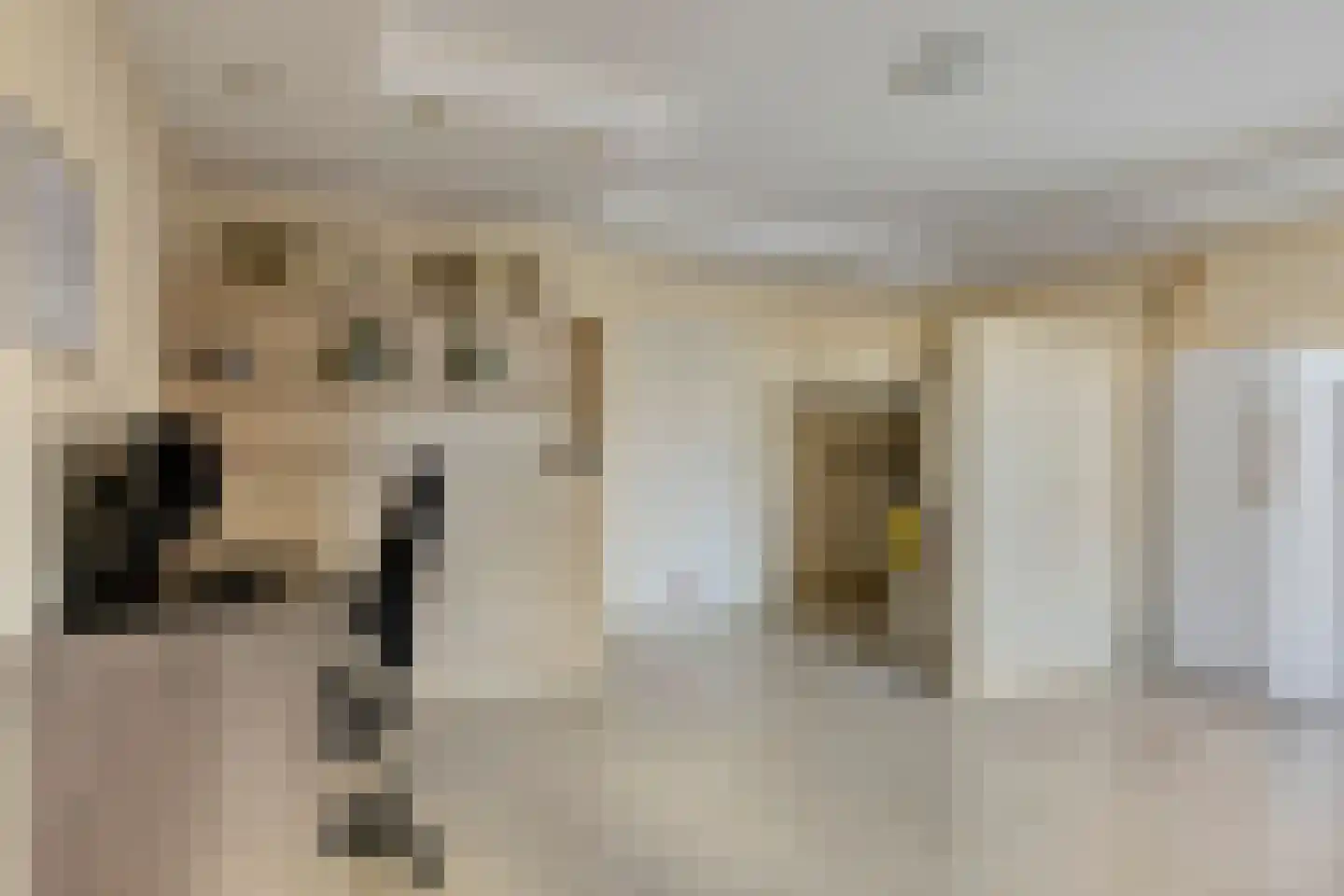 Rompertcentrum 89 's-Hertogenbosch thumbnail 5