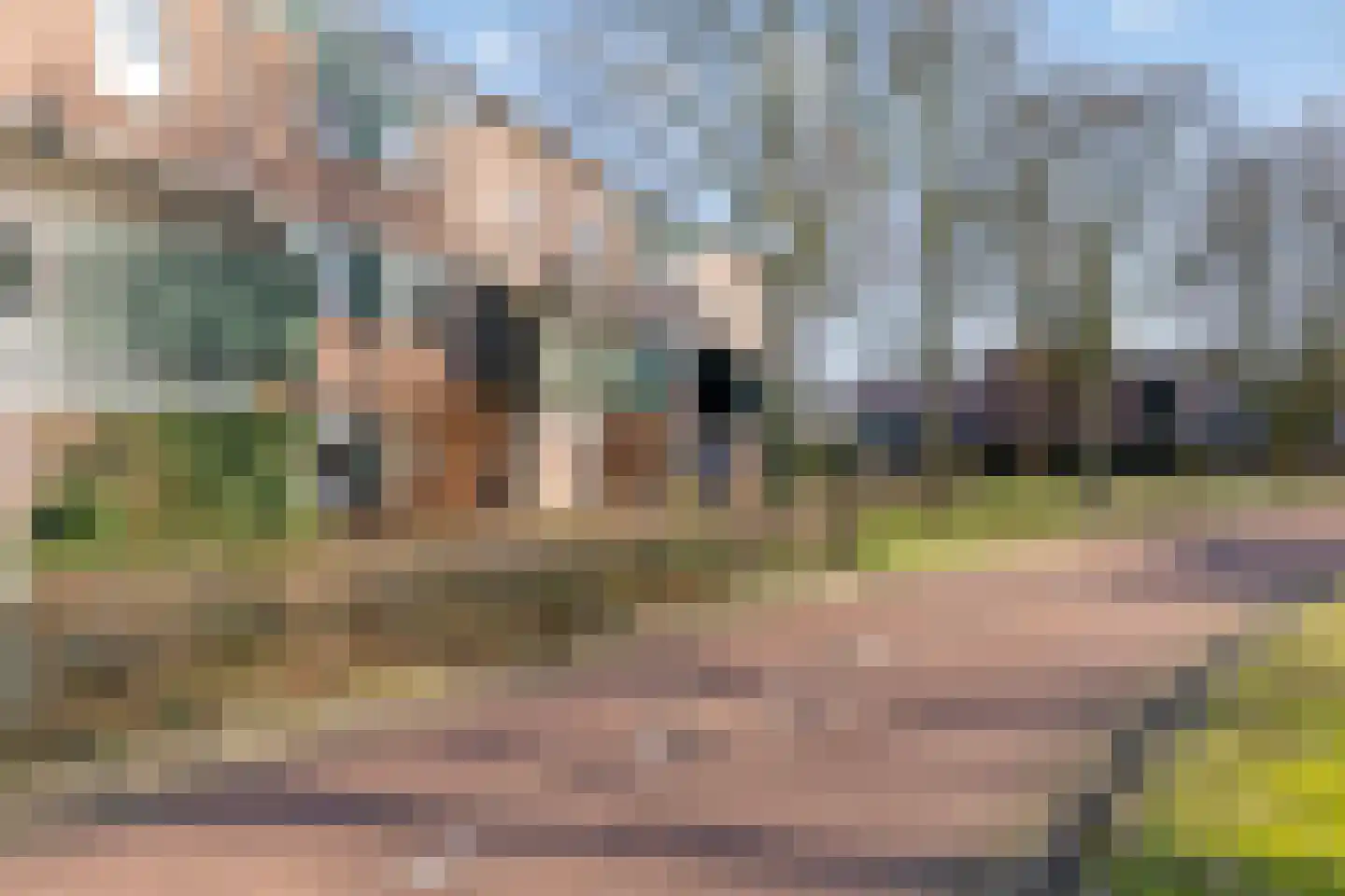 Rompertcentrum 89 's-Hertogenbosch thumbnail 6