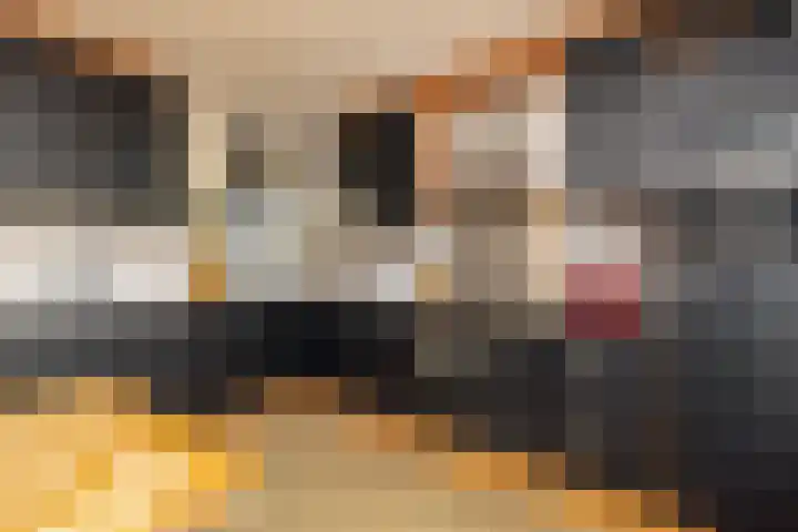 Rompertdreef 24 's-Hertogenbosch thumbnail 12