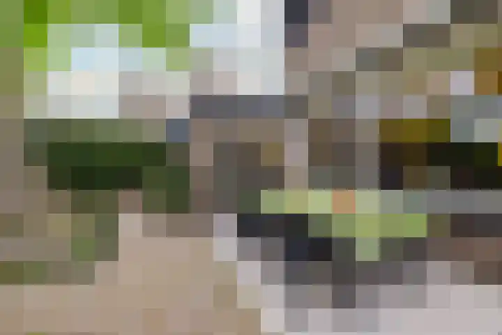 Rompertdreef 24 's-Hertogenbosch thumbnail 17