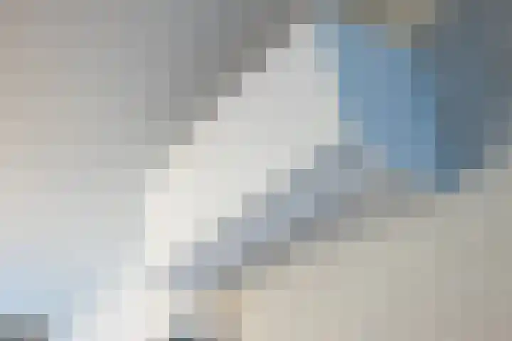 Rompertdreef 24 's-Hertogenbosch thumbnail 22