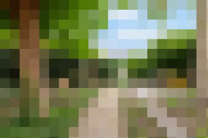 Rompertdreef 24 's-Hertogenbosch thumbnail 23