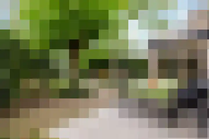 Rompertdreef 24 's-Hertogenbosch thumbnail 26
