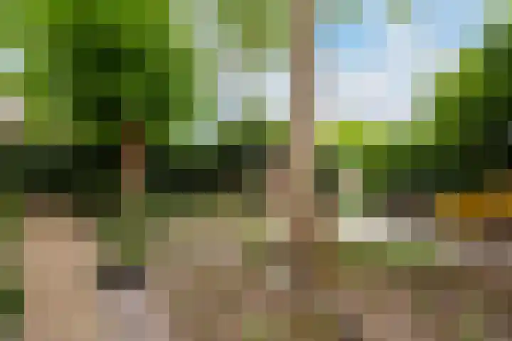 Rompertdreef 24 's-Hertogenbosch thumbnail 28