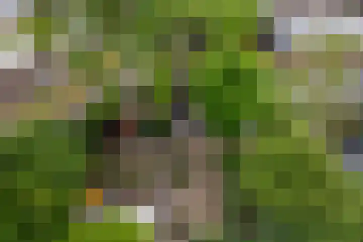 Rompertdreef 24 's-Hertogenbosch thumbnail 29