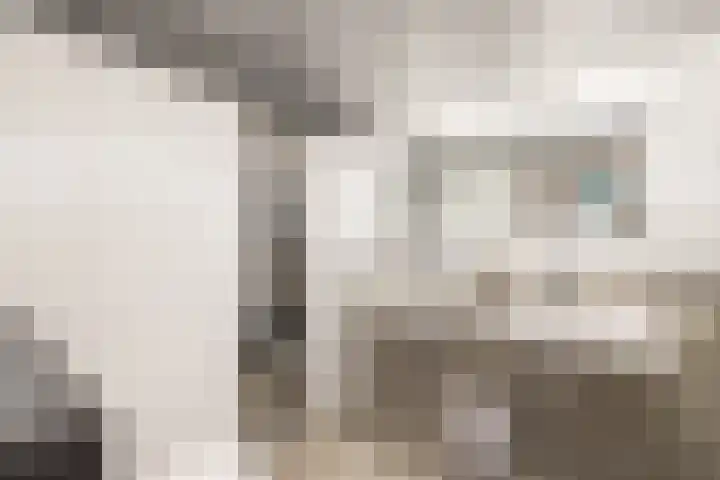 Rompertdreef 24 's-Hertogenbosch thumbnail 34