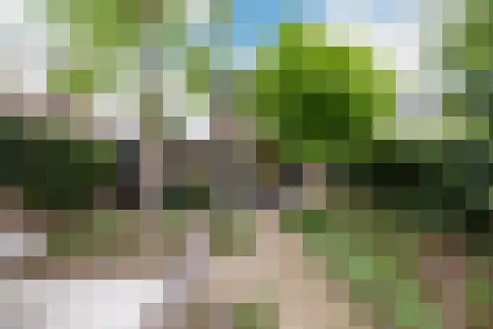 Rompertdreef 24 's-Hertogenbosch thumbnail 4