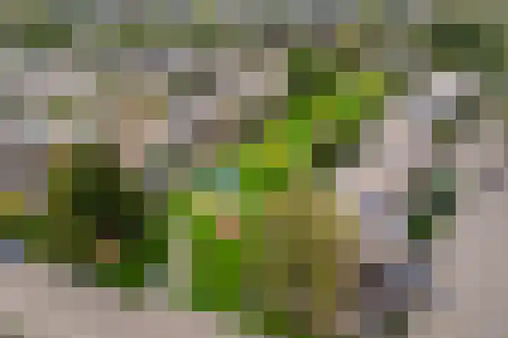 Rompertdreef 24 's-Hertogenbosch thumbnail 44