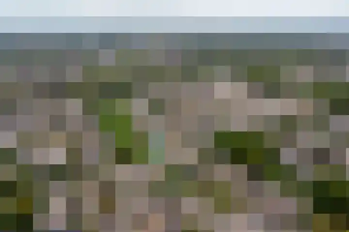 Rompertdreef 24 's-Hertogenbosch thumbnail 45