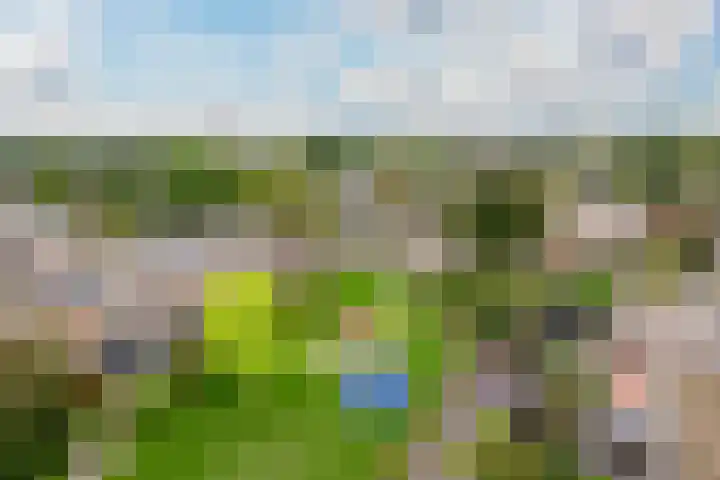 Rompertdreef 24 's-Hertogenbosch thumbnail 47